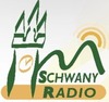 Schwany Souvenir Radio