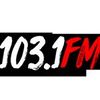 POLSKIE RADIO WPNA 103.1 FM - CHICAGO