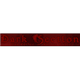 Dark-Section-Radio Gothic Darkwave EBM Metal