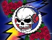 GDRADIO.NET - Streaming Grateful Dead and More!