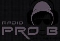 Radio Pro-B Romania